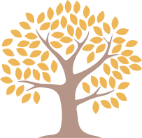 Year 3 tree