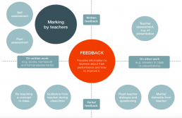EEF feedback diagram